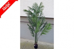 019 veštačke palme